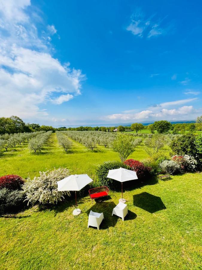 Guest house Podere San Francesco *