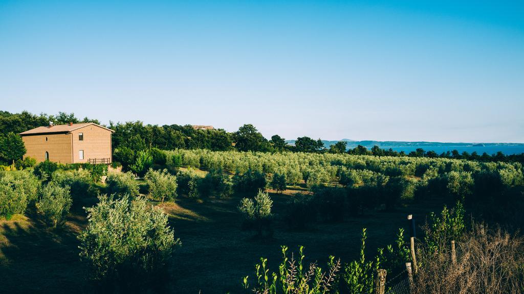 Guest house Podere San Francesco *