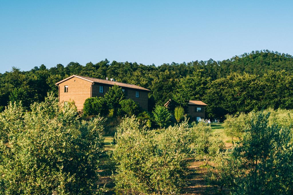 Podere San Francesco Bolsena